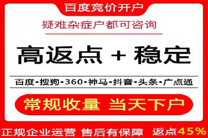 关键词竞价排名策略案例分析